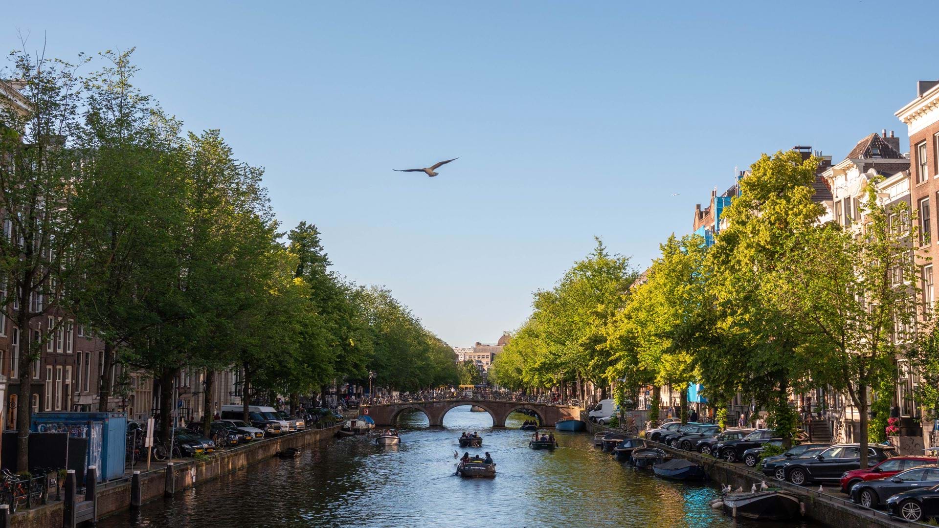 Amsterdam | Cove