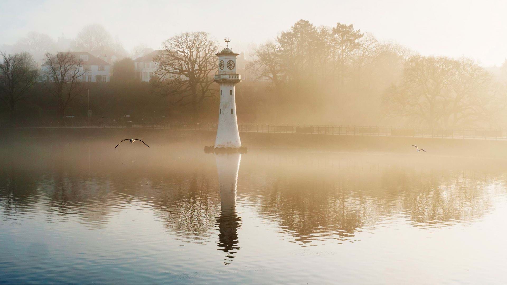 Cardiff | Cove