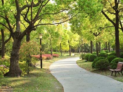 The Hague: Park Sorghvliet | Serviced Apartments, Cove