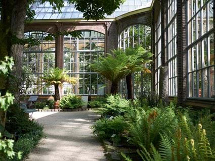 Amsterdam: Hortus Botanicus, Serviced Apartments, Cove